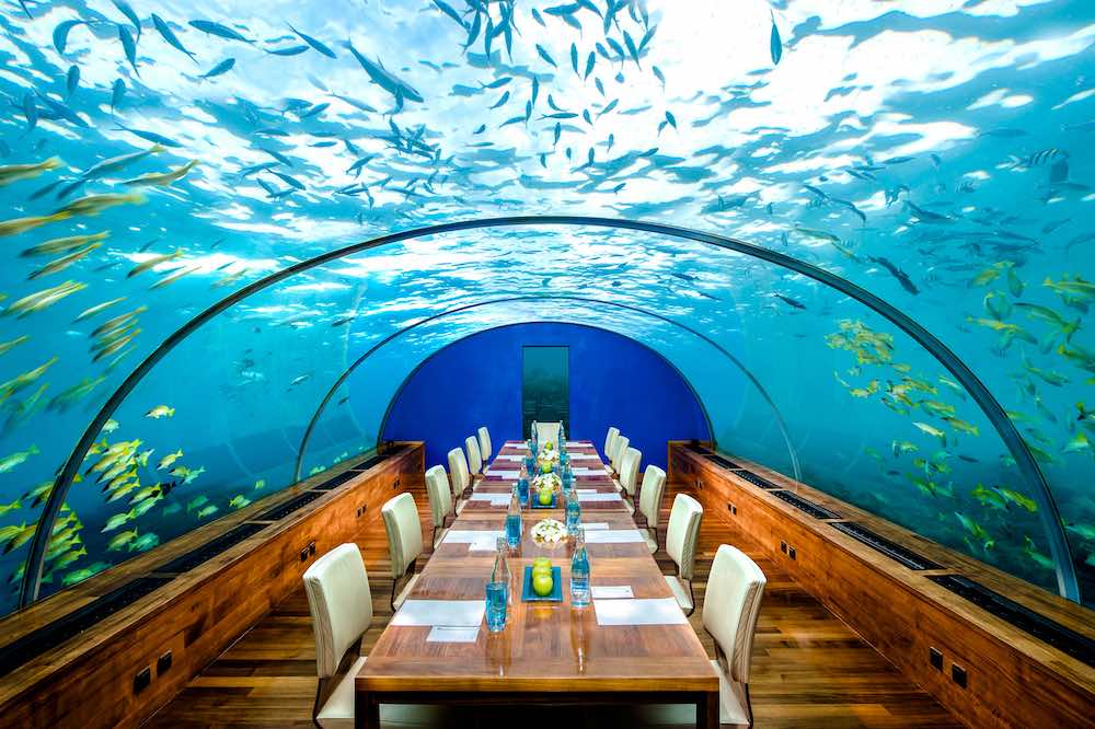 Ithaa Undersea Restaurant at Conrad Maldives Rangali Island thumbnail 7